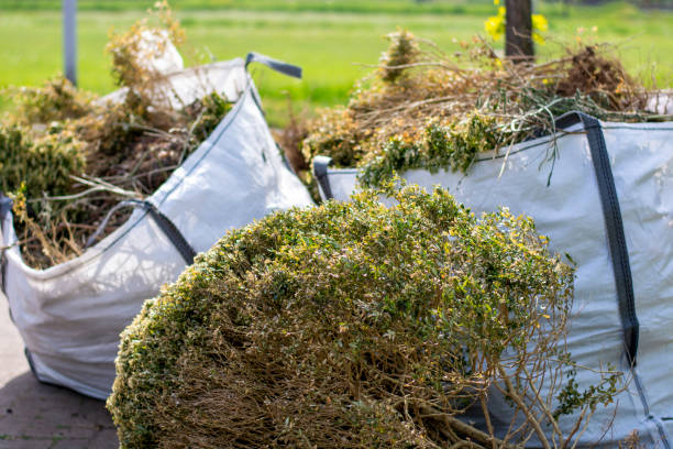 Best Furniture Removal Near Me  in Blair, WI